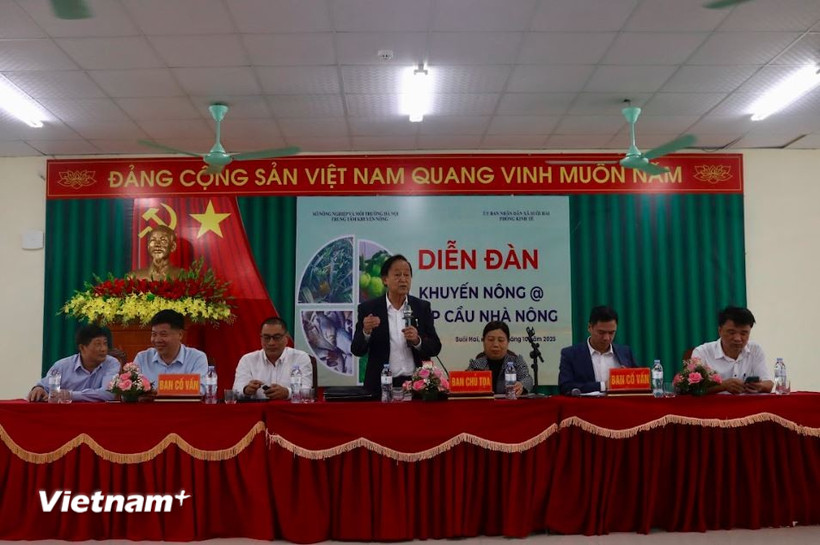Diễn đàn “Khuyến nông @ liên kết sản xuất và tiêu thụ nông sản” là dịp để người dân gặp gỡ, trao đổi trực tiếp với doanh nghiệp thu mua, mở ra cơ hội hợp tác lâu dài. (Ảnh: Bảo Ngọc/Vietnam+)