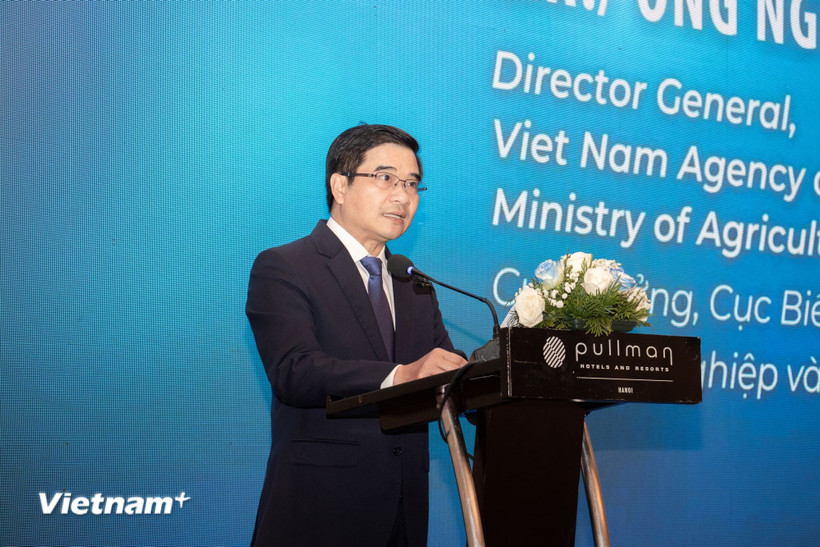 Ông Nguyễn Đức Toàn - Cục trưởng Cục Biển và Hải đảo Việt Nam. (Ảnh: PV/Vietnam+)