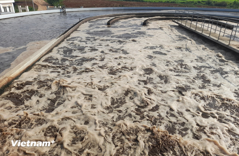 Hệ thống xử lý nước thải của một doanh nghiệp tại Nghệ An. (Ảnh: Hùng Võ/Vietnam+)