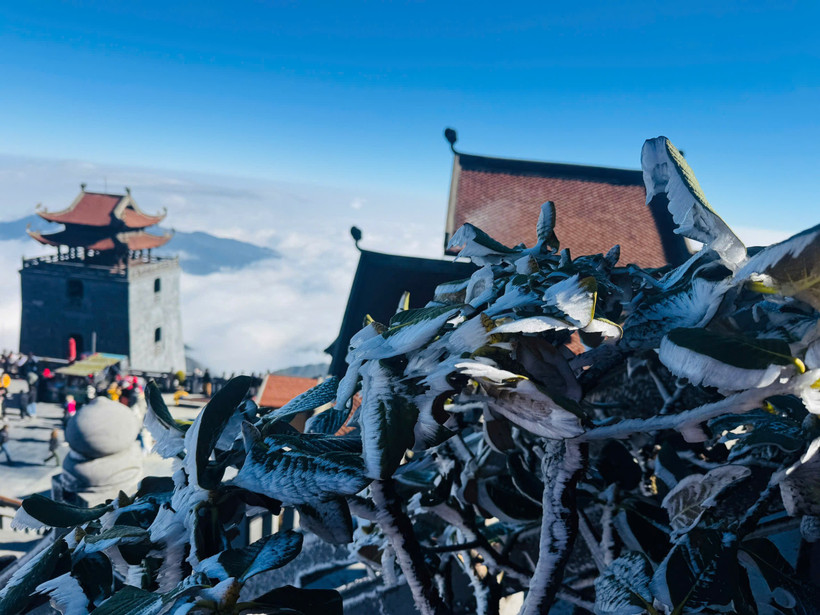 Băng giá phủ trắng đỉnh Fansipan. 