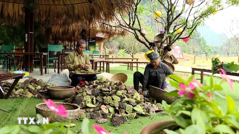 (Ảnh minh họa. Nguồn: TTXVN)