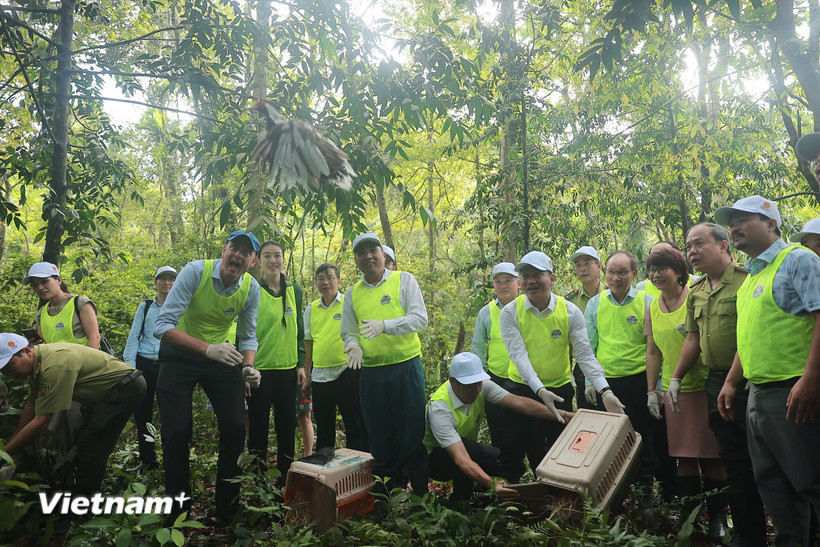 Bảo vệ “kho báu” đa dạng sinh học: Việt Nam cần kiểm soát chặt các tác động 