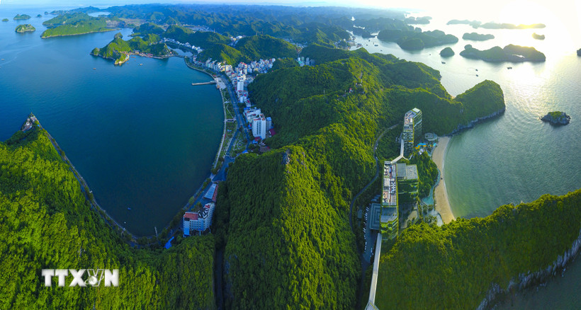 Tổng diện tích rừng (bao gồm cả diện tích rừng chưa đủ tiêu chí tính tỷ lệ che phủ) trên cả nước là 14.874.302 ha. (Nguồn ảnh: TTXVN)