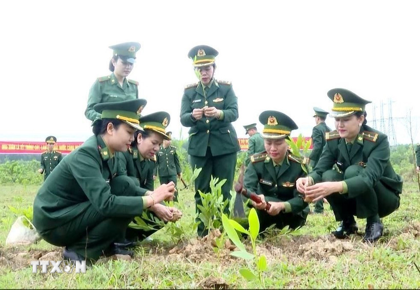 Nữ cán bộ, chiến sĩ Bộ đội Biên phòng tỉnh Quảng Trị hưởng ứng Tết trồng cây Xuân Bính Ngọ năm 2026. (Ảnh: Võ Dung/TTXVN)
