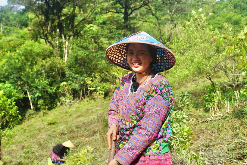 (Ảnh minh họa. Nguồn: PanNature)