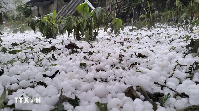 (Ảnh minh họa. Nguồn: Vietnam+)