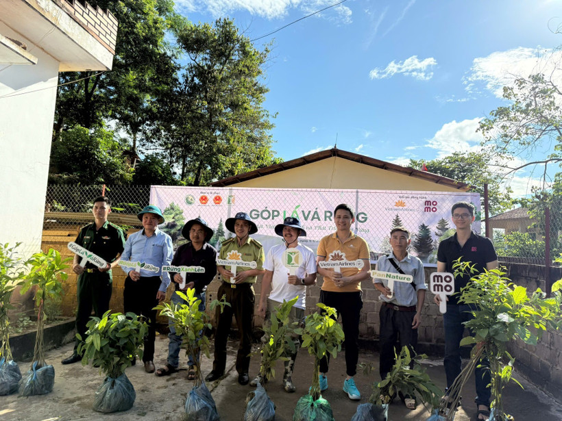 Năm 2025, Chiến dịch “Góp Lá Vá Rừng” tiếp nối ở quy mô lớn hơn năm trước, với hơn 60.000 cây được trồng trên diện tích gần 100 ha. (Ảnh: PanNature)