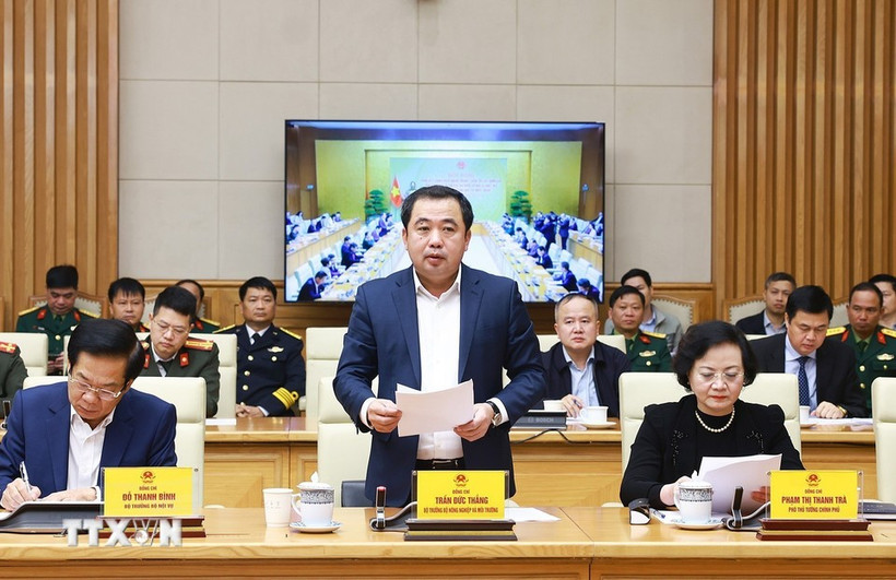 Bộ trưởng Nông nghiệp và Môi trường Trần Đức Thắng. (Ảnh: Dương Giang/TTXVN)