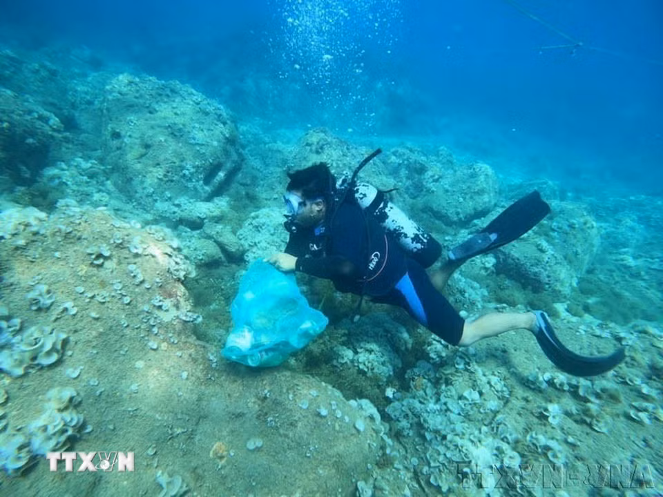 Thu gom rác thải nhựa dưới biển xã đảo Nhơn Hải, nay là phường Quy Nhơn Đông, tỉnh Gia Lai. (Ảnh: TTXVN phát)