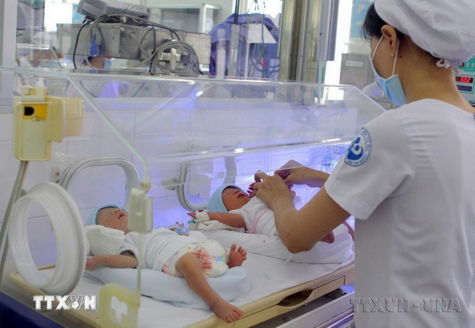 Sự ra đời của trẻ bằng phương pháp thụ tinh trong ống nghiệm tại Việt Nam từ năm 1998 đến nay đã mở ra cơ hội mới cho hàng nghìn gia đình hiếm muộn, là một trong những thành tựu xuất sắc của nền y học Việt Nam. Trong ảnh: Cặp song sinh nhờ mang thai hộ đầu tiên khu vực phía Nam tại Bệnh viện Từ Dũ. (Ảnh: Phương Vy/TTXVN)