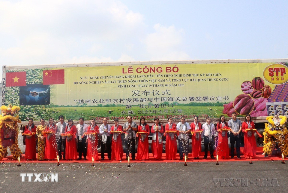 Ủy ban Nhân dân tỉnh Vĩnh Long phối hợp với Cục Bảo vệ thực vật (Bộ Nông nghiệp và Phát triển Nông thôn) tổ chức Lễ công bố xuất khẩu chuyến hàng khoai lang đầu tiên của Việt Nam sang thị trường Trung Quốc. (Ảnh: Lê Thúy Hằng/TTXVN)