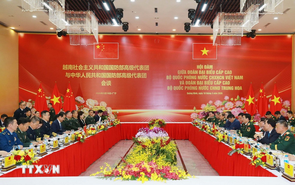 Hội đàm giữa Bộ trưởng Quốc phòng hai nước. (Ảnh: Trọng Đức/TTXVN)