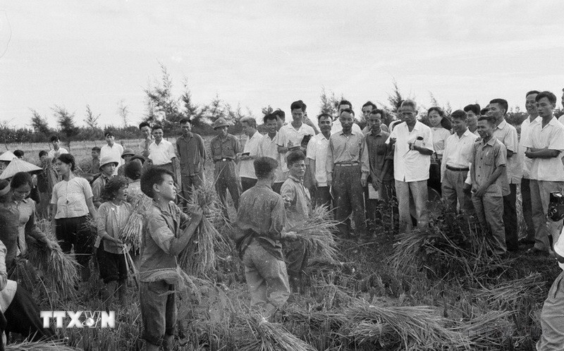 Thủ tướng Phạm Văn Đồng thăm đồng ruộng của nông dân huyện Đan Phượng, tỉnh Hà Tây, tháng 7/1971. (Ảnh: Văn Lượng/TTXVN)
