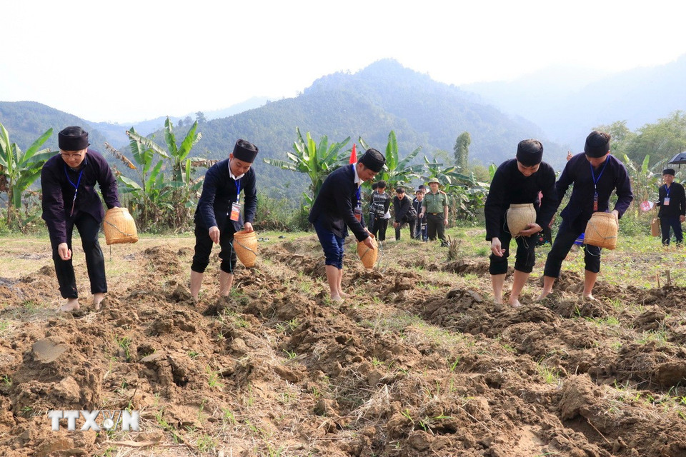 Lãnh đạo địa phương gieo hạt cho mùa sản xuất mới. (Ảnh: Đinh Thùy/TTXVN)