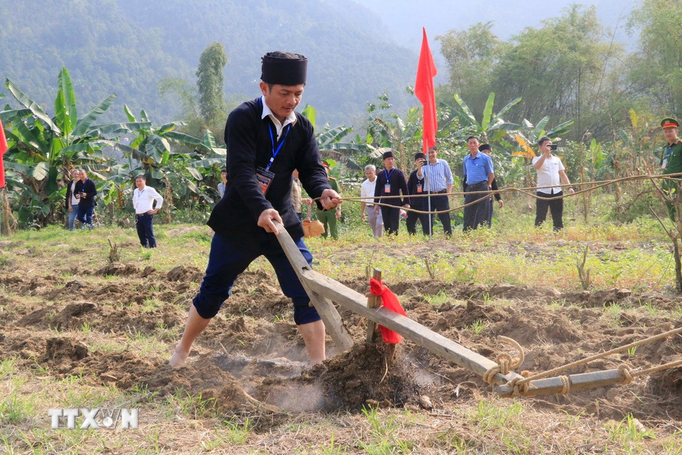 Chủ tịch UBND xã Phong Dụ Thượng Lương Văn Thu thực hiện những đường cày đầu tiên mở đầu cho mùa sản xuất mới. (Ảnh: Đinh Thùy/TTXVN)