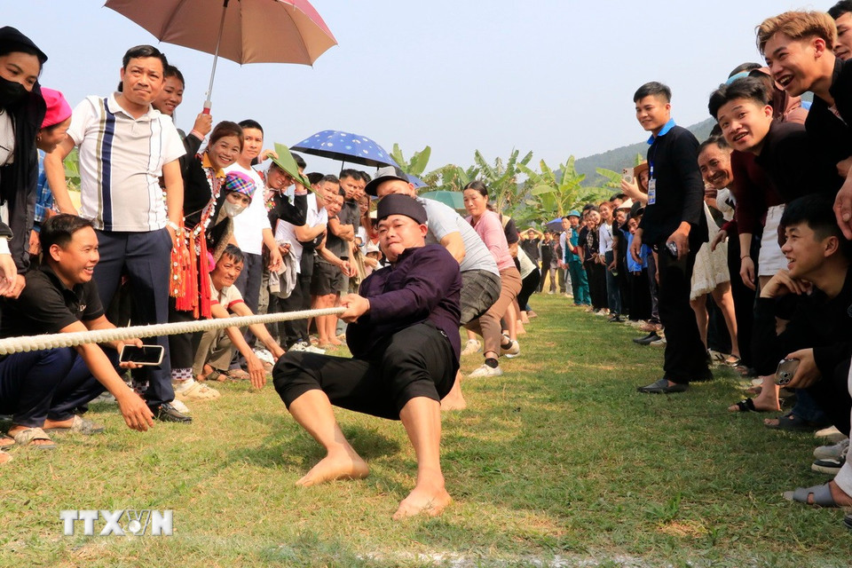 Trò chơi kéo co thu hút sự cổ vũ của người dân và du khách. (Ảnh: Đinh Thùy/TTXVN)