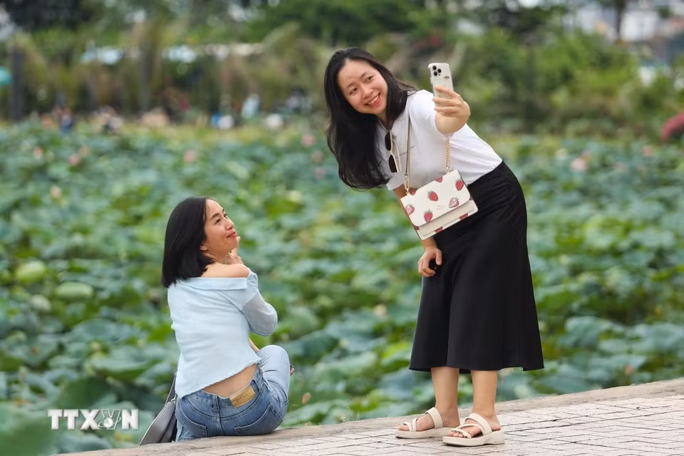 Người dân có những phút giây thư giãn ngắm nhìn cảnh sen bên Hồ Tây. (Ảnh: Tiến Long/TTXVN phát)