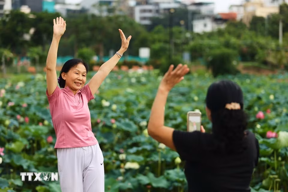Những phút giây thư giãn cùng cảnh sen bên Hồ Tây. (Ảnh: Tiến Long/TTXVN phát)