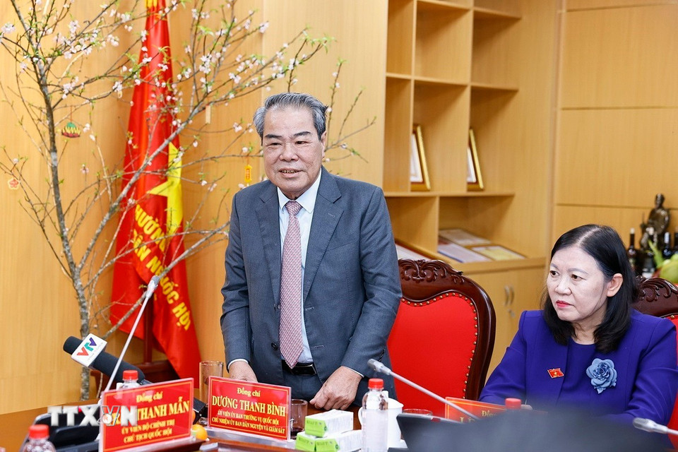 Chủ nhiệm Ủy ban Dân nguyện và Giám sát của Quốc hội Dương Thanh Bình phát biểu. (Ảnh: Doãn Tấn/TTXVN)