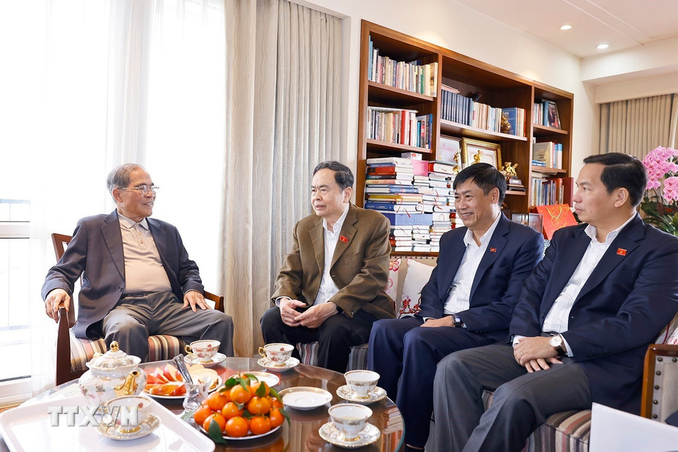 Chủ tịch Quốc hội Trần Thanh Mẫn thăm, chúc Tết nguyên Chủ tịch Quốc hội Nguyễn Sinh Hùng. (Ảnh: Doãn Tấn/TTXVN)