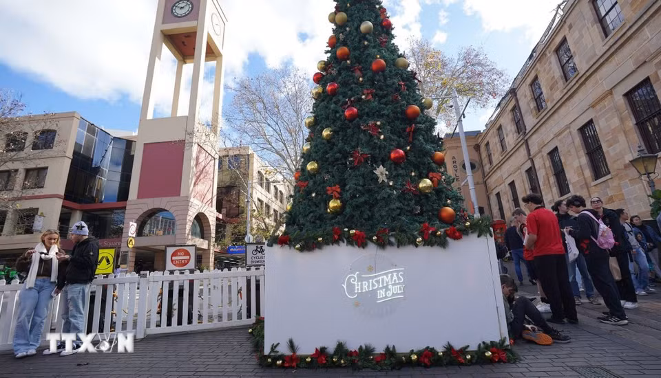 Cây thông Noel được đặt ngay tại ngã ba khu chợ The Rocks, nơi khách tham quan tập trung đến chụp ảnh lưu lại không khí Giáng sinh mùa Đông của Australia. (Ảnh: Lê Đạt/TTXVN)