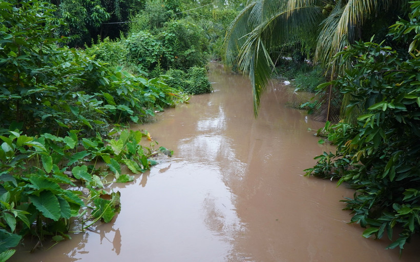 Mực nước ở kênh, rạch trên địa bàn tỉnh Đồng Tháp đang lên theo triều cường. (Ảnh: Nhựt An/TTXVN)