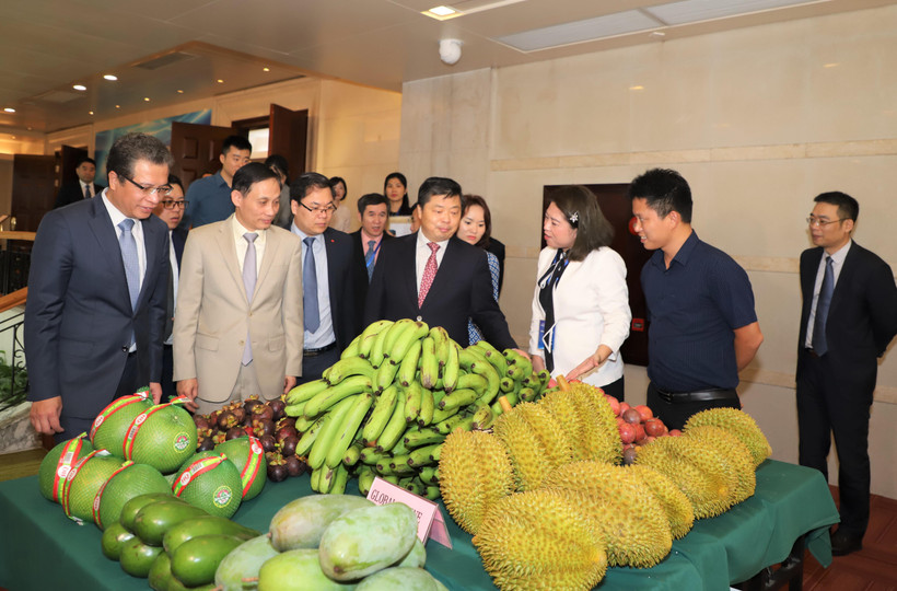 Gian hàng nông sản của Việt nam bên lề Diễn đàn. (Ảnh: Xuân Tuấn/Vietnam+)