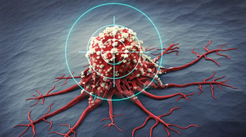 Ảnh minh họa. (Nguồn: Technologynetworks)