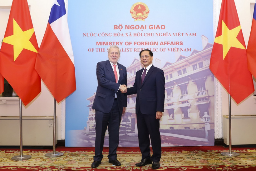 Bộ trưởng Bộ Ngoại giao Bùi Thanh Sơn đón Bộ trưởng Ngoại giao Cộng hòa Chile Alberto Van Klaveren. (Ảnh: An Đăng/TTXVN)