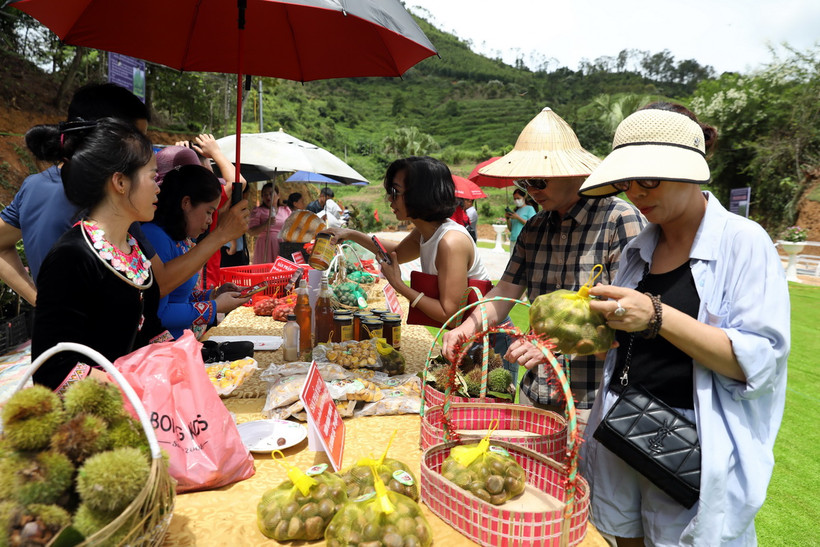 Các hộ trồng dẻ ở xã Quảng Lạc, thành phố Lạng Sơn giới thiệu, quảng bá đặc sản hạt dẻ với đặc trưng hạt to, ăn bùi và rất thơm tới du khách trong và ngoài tỉnh. (Ảnh: Văn Đạt/TTXVN)