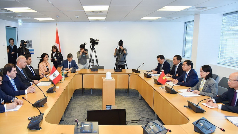 Bộ trưởng Ngoại giao Bùi Thanh Sơn gặp Bộ trưởng Ngoại giao Peru Javier Gonzalez Olaechea. (Ảnh: TTXVN phát)