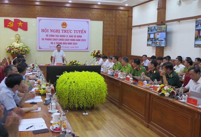 Phó Thủ tướng Trần Lưu Quang phát biểu chỉ đạo. (Ảnh: Dư Toán/TTXVN)