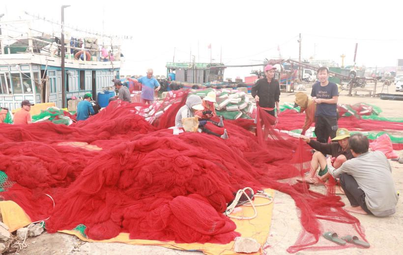 Quảng Trị có khoảng 2.200 tàu cá, trong đó có gần 200 tàu cá công suất lớn làm nghề khai thác thủy sản xa bờ. (Ảnh: Nguyên Lý/TTXVN)