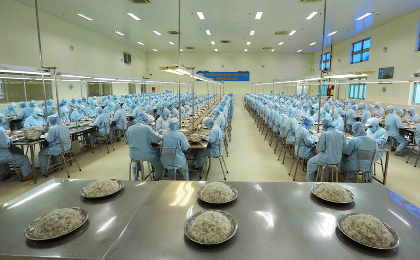 (Ảnh minh họa: Vũ Sinh/TTXVN)