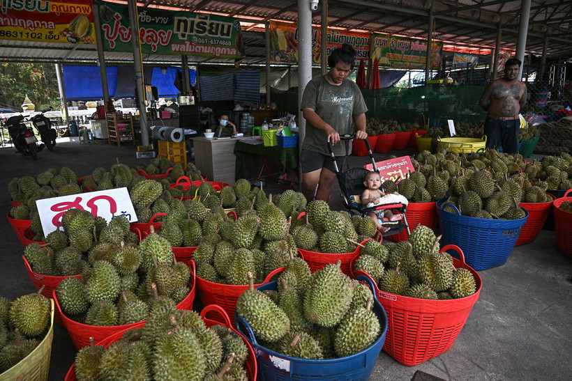 Sầu riêng được bày bán tại tỉnh Chanthaburi, Thái Lan ngày 1/5/2024. (Ảnh: AFP/TTXVN)