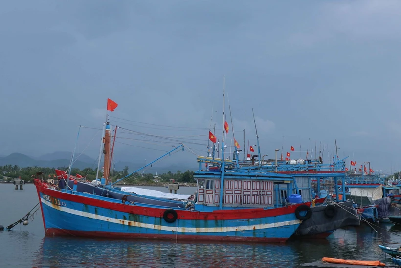 (Ảnh minh họa: Đoàn Hữu Trung/TTXVN)