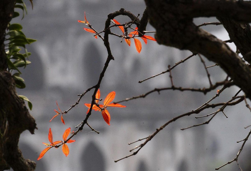 (Ảnh minh họa: Lâm Khánh/TTXVN)