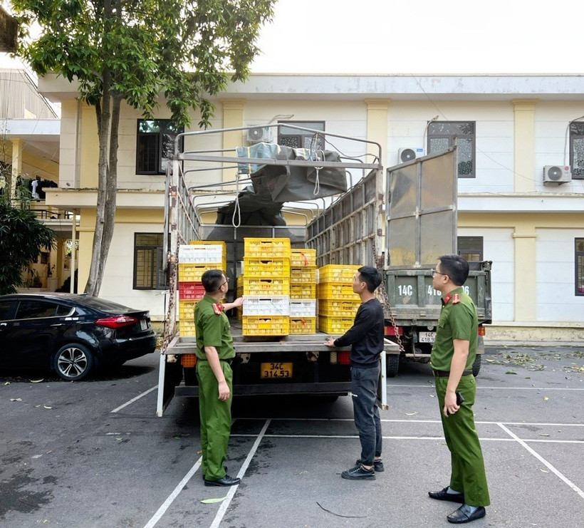 Phương tiện chở hơn 10.000 quả trứng gia cầm không rõ nguồn gốc, xuất xứ được đưa về cơ quan chức năng để điều tra làm rõ. (Ảnh: TTXVN phát)