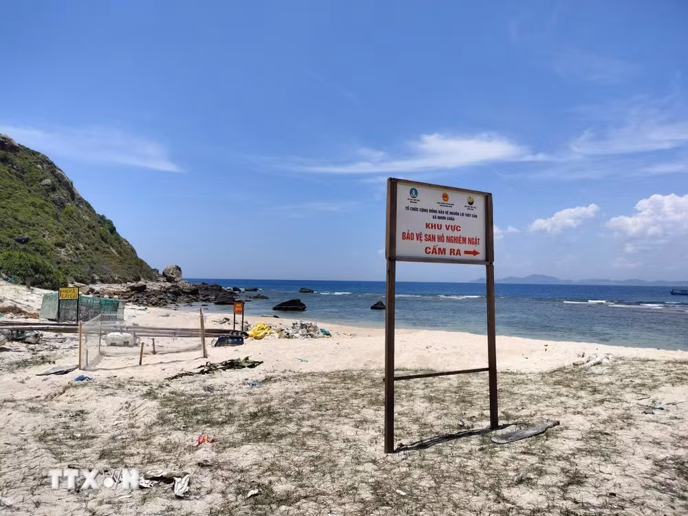 ttxvn-xa-dao-nhon-chau.jpg