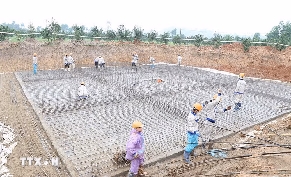 ttxvn-nhap-khau-dien2.jpg