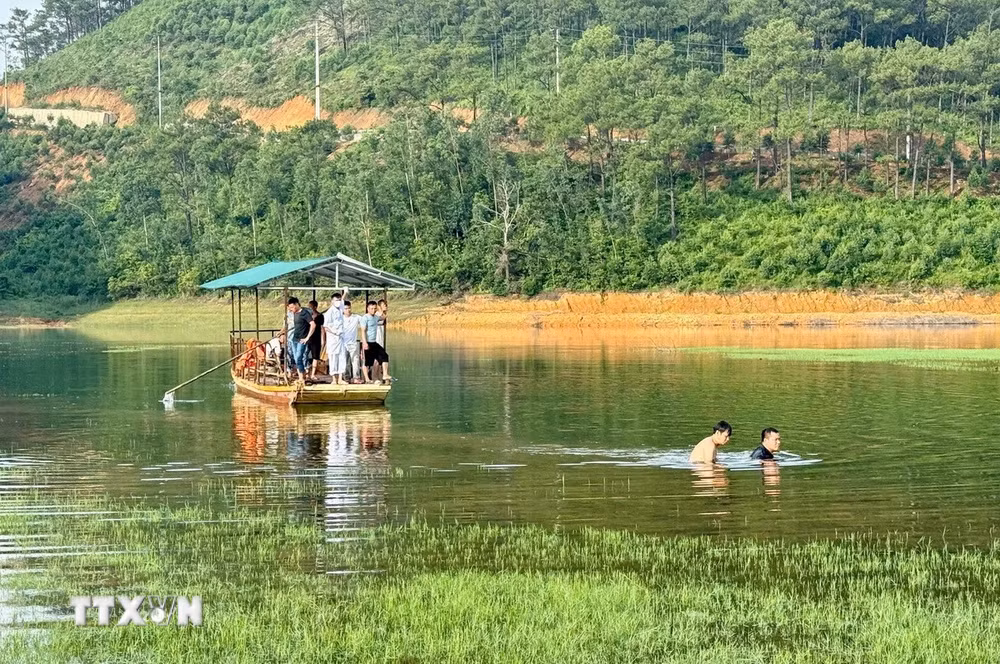 ttxvn-xe-ban-tai-chim-2.jpg