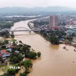 (Ảnh minh họa: Trần Trang/TTXVN)