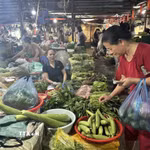 Ảnh minh họa. (Ảnh: Quốc Lũy/TTXVN)