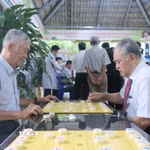 Người cao tuổi phường Bình Phú giao lưu đánh cờ tướng tại Nhà sinh hoạt cộng đồng. (Ảnh: Đinh Hằng/TTXVN)