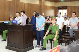 Các bị cáo tại phiên tòa. (Ảnh: TTXVN phát)