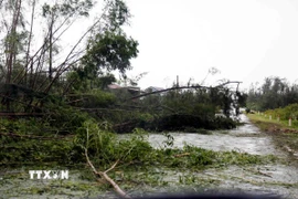 Tuyến đường ven biển Hà Tĩnh gây đổ la liệt gây khó khăn đi lại. (Ảnh: Hoàng Ngà/TTXVN)