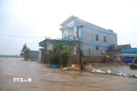 Khu vực dân cư gần cửa biển Lạch Vạn thuộc xóm Ngọc Minh (xã Diễn Châu, tỉnh Nghệ An) bị ngập nặng do nước biển dâng. (Ảnh: Xuân Tiến/TTXVN)