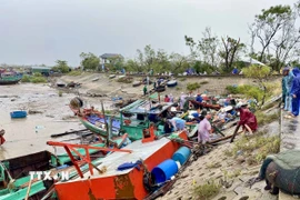 Hàng loạt tàu tại khu neo đậu tránh trú bão thôn Liên Thành bị hư hỏng do ảnh hưởng của bão số 5. (Ảnh: Hữu Quyết/TTXVN)