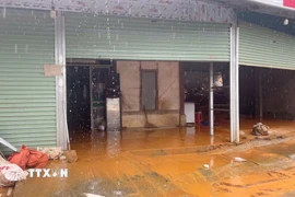 Các hộ dân tại xã Hạnh Phúc bị sạt lở taluy dương. (Ảnh: TTXVN phát)