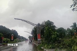 (Ảnh minh họa: Nguyễn Nam/TTXVN)